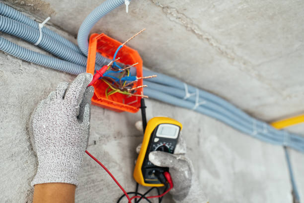 Best Electric Panel Repair  in Butler, GA